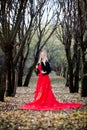 Portrait of princess in crown and red dress in forest. Autumn Royalty Free Stock Photo