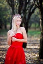 Portrait of princess in crown and red dress in forest. Autumn Royalty Free Stock Photo