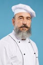 Portrait of Professional Chef on Blue Royalty Free Stock Photo