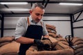 Portrait of professional coffee roaster looking down at raw coffee beans. Close up view Royalty Free Stock Photo