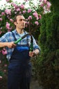 Professional male gardener in blue uniform, using pruners, cutting a hedge in courtyard of a mansion. Garden decoration Royalty Free Stock Photo