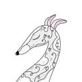 Portrait of profile dog whippet, vector colored illustration