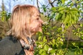 Portrait in profile of middle-aged blonde woman, woman sniffing white flowers of blooming apple tree from tree branch