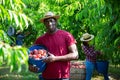 Aframerican farmer holding bucket with peaches in orchard