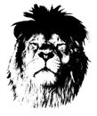 Portrait of a proud lion. Graphics on a white background.