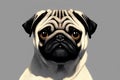 Portrait of pug. Charming wrinkled dog with sad eyes. Royalty Free Stock Photo