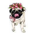 Portrait of pug dog wearing tulip crown. Welcome spring. Hand drawn colored vector illustration. Engraved detailed art