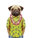 Portrait of Pug in summer shirt with Hawaiian Lei.