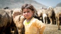 Portrait of Qashqai Turkish girl with a group of goats, Shiraz, Iran