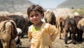 Portrait of Qashqai Turkish girl with a group of goats, Shiraz, Iran