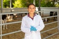 Female veterinarian standing near stall with calves Royalty Free Stock Photo