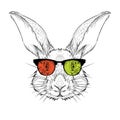 Portrait of the rabbit in the colored glasses. Think different. Vector illustration. Royalty Free Stock Photo