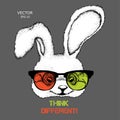 Portrait of the rabbit in the colored glasses. Think different. Vector illustration. Royalty Free Stock Photo