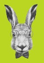 Portrait of Rabbit with glasses and bow tie. Royalty Free Stock Photo