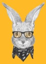 Portrait of Rabbit with glasses and scarf. Royalty Free Stock Photo