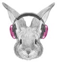 Portrait of Rabbit with headphones.