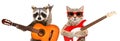 Portrait of raccoon and cat in sunglasses with guitars Royalty Free Stock Photo