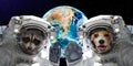 Portrait of a raccoon and dog astronauts