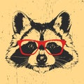 Portrait of Raccoon with glasses.