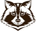 Portrait of a raccoon head. Monochrome linear paint drawn raccoon vector illustration. Raccoon head logo and icon, clip Royalty Free Stock Photo
