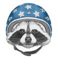 Portrait of Raccoon with Helmet.