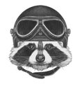 Portrait of Raccoon with Vintage Helmet.