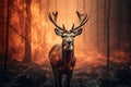 Portrait of a red deer in the forest with fire foggy background