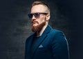 Redhead bearded hipster male dressed in a blue jacket. Royalty Free Stock Photo