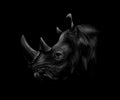 Portrait of a rhinoceros head on a black background.