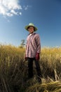 Portrait of a rice farmer