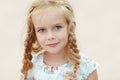 Portrait risible blonde girl with pigtails and blue round eyes