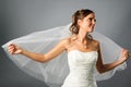 Portrait of romantic bride covered a veil