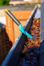 A portrait of a roof gutter full of fallen autumn leaves on a sunny day with a small blue garden shovel in it of someone who is Royalty Free Stock Photo