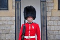 Portrait of royal guard