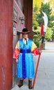 Portrait of royal guard, Seoul, South Korea