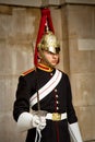 Portrait of a Royal Horse Guard