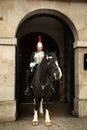 Portrait of a Royal Horse Guard