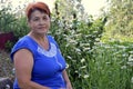 Portrait of 60s mature woman in blue dress sitting next to flower beds with daisies in village Royalty Free Stock Photo