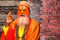 Portrait of a sadhu