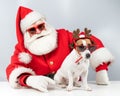 Portrait of santa claus in sunglasses and dog jack russell terrier in rudolf reindeer ears on a white background. Royalty Free Stock Photo