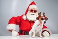 Portrait of santa claus in sunglasses and dog jack russell terrier in rudolf reindeer ears on a white background. Royalty Free Stock Photo