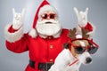 Portrait of Santa Claus in sunglasses shows a goat sign. Dog Jack Russell Terrier in Rudolph deer ears on a white Royalty Free Stock Photo