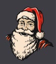 Portrait Santa Claus Royalty Free Stock Photo