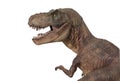 Portrait of a Tyrannosaurus rex isolated on white background