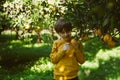 Portrait of School farmer boy kid child harvests ripe organic juicy orange citrus fruit from the tree branch in orangery Royalty Free Stock Photo