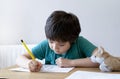 Portrait school kid siting on table doing homework, Happy Child boy holding pencil writing, A boy drawing on white paper at the