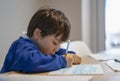 Portrait of school kid sitting alone doing homework, Child boy holding colour pen drawing and writing on white paper on table,