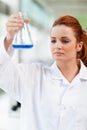 Portrait of a science student Royalty Free Stock Photo