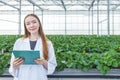 portrait scientist in large green house organic strawberry agriculture farm for plant research working woman Royalty Free Stock Photo