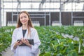 portrait scientist in large green house organic strawberry agriculture farm for plant research working woman